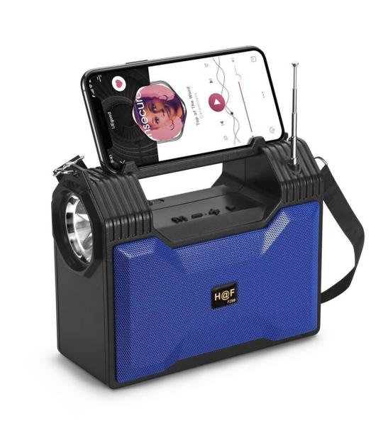 HF-F299 Wireless Bluetooth 5.1 Portable Speaker Solar Rechargeable Torch Light FM Radio TF Slot
